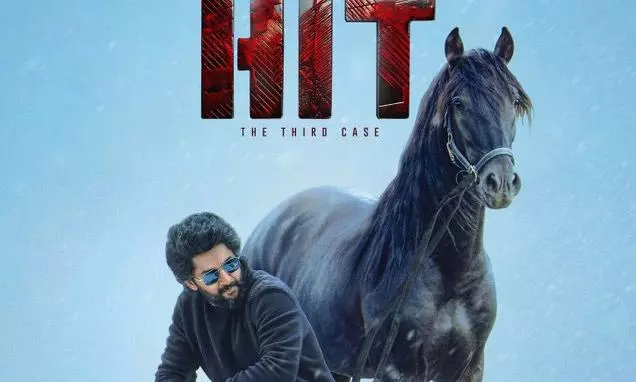 HIT: The Third Case movie poster